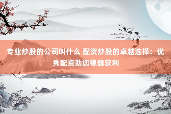专业炒股的公司叫什么 配资炒股的卓越选择：优秀配资助您稳健获利
